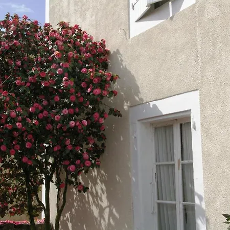 The Lavender House *
