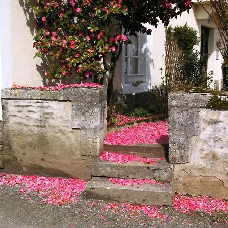 The Lavender House فندق مبيت وإفطار *